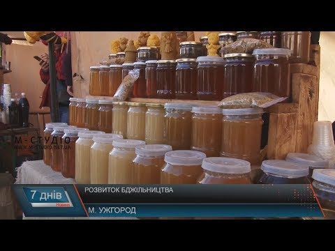 Розвиток бджільництва