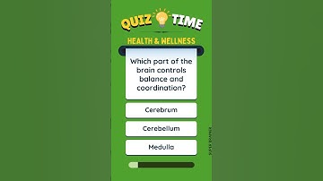 Which Part of the Brain controls Balance and Coordination? 🧠