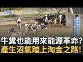 環保議題與綠能商機