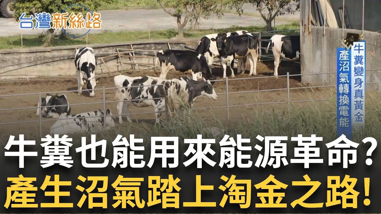 牛糞的價值竟高於鮮花？廢材轉生術開創綠能商機！培植菌種軍團 成綠電「隱形推手」垃圾壓制燃料取代煤炭 環境部訂目標年用50噸！│主播 苑曉琬│【台灣新思路】20250601│三立iNEWS