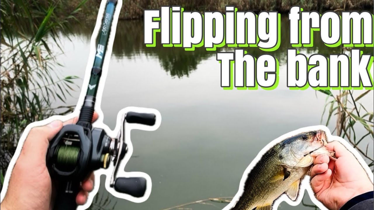 Public Pond Flipping | Johannesburg Bass Fishing