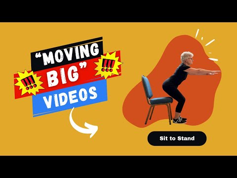 Sit to Stand