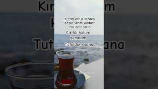 Kimim Var Ki Senden Başka Yerim Yurdum Yok Beni Sakla Kırıldı Kolum Kanadım Tutuldum Sana