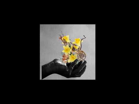 Little Dragon & Moses Sumney - 'The Other Lover' (Official Audio)