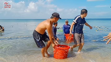Phú Quốc | Kéo Lưới Rùng, Đặt Camera Quay Cận Cảnh Dưới Nước