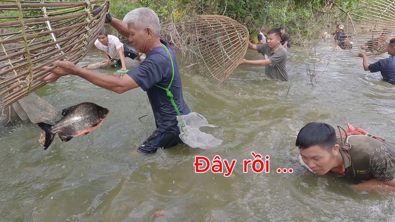 Nơm cá leo cá chim hưng hugo