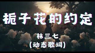 栀子花的约定 - 林三七 （动态歌词版） 『若你心里只有一个我啊，最后怎么还会爱上她，眼泪是深爱过的代价』