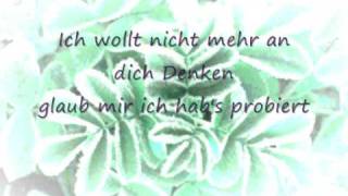 Silbermond Die Liebe lässt mich nicht (Lyrics)