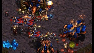 FLASH!  (T) vs Queen!  (Z) on Neo Sylphid  StarCraft  Brood War