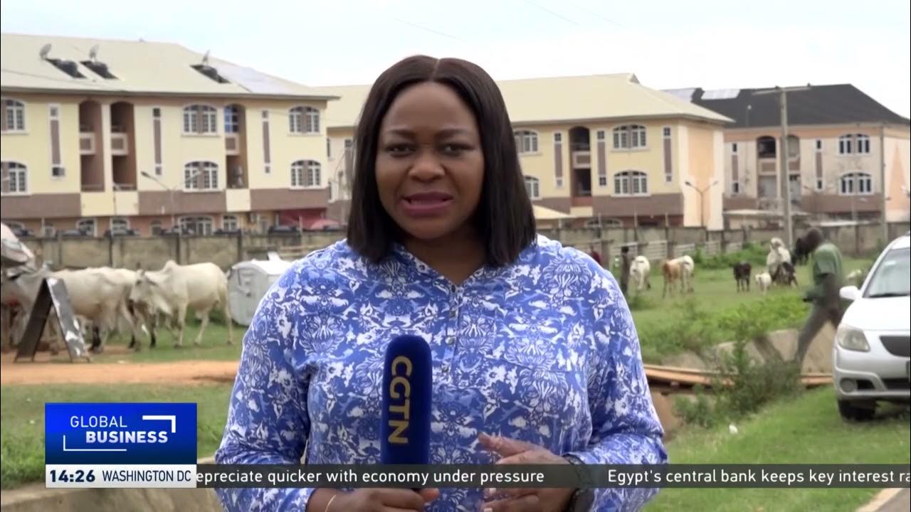 Experts call for overhaul of West Africa’s meat supply chain to boost food security
