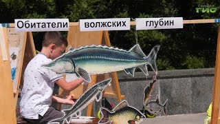 В Струковском саду прошел мастер-класс 