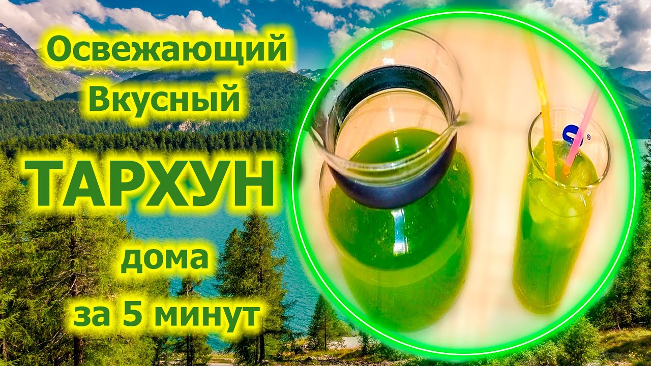 🥤 Оcвежающий ТАРХУН! Очень вкусно и быстро 👍🏻 #рецепттархуна