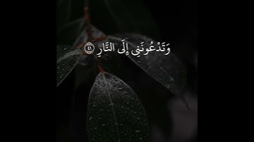 حالات واتس اب قران بصوت خالد الجليل | تلاوة خاشعة| وَيَا قَوْمِ مَا لِي أَدْعُوكُمْ إِلَى النَّجَاةِ