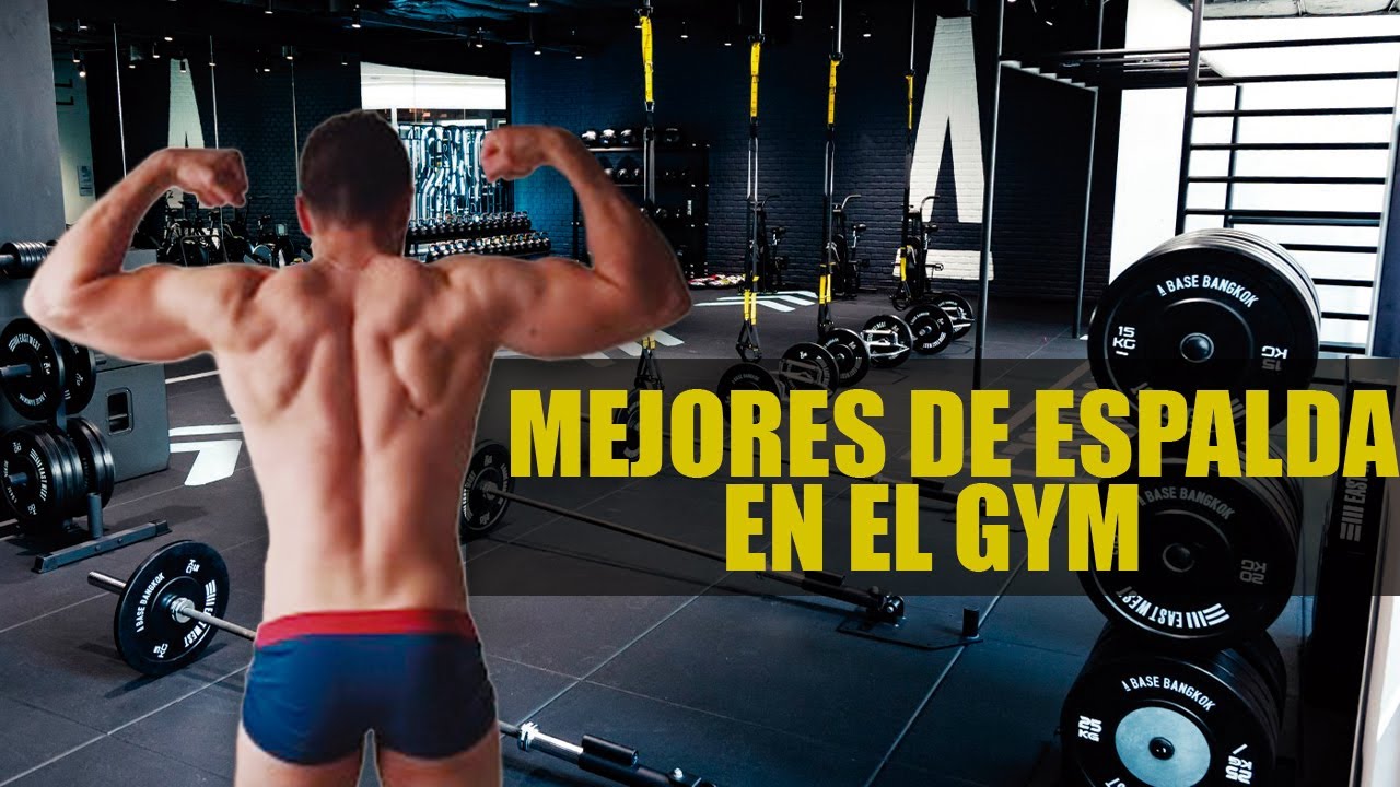 Los MEJORES Ejercicios de ESPALDA en el GYM | Peligro Gym - YouTube