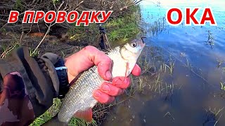 видео: ТЕЧЕНИЕ СИЛЬНЕЕ - КРУПНЕЕ РЫБА.  Рыбалка в проводку на ОКЕ в конце мая. картинка: ТЕЧЕНИЕ СИЛЬНЕЕ - КРУПНЕЕ РЫБА.  Рыбалка в проводку на ОКЕ в конце мая.