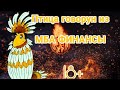 ПТИЦА ГОВОРУН ИЗ МБА ФИНАНСЫ | РАЗГОВОРЫ С КОЛЛЕКТОРАМИ | 18+