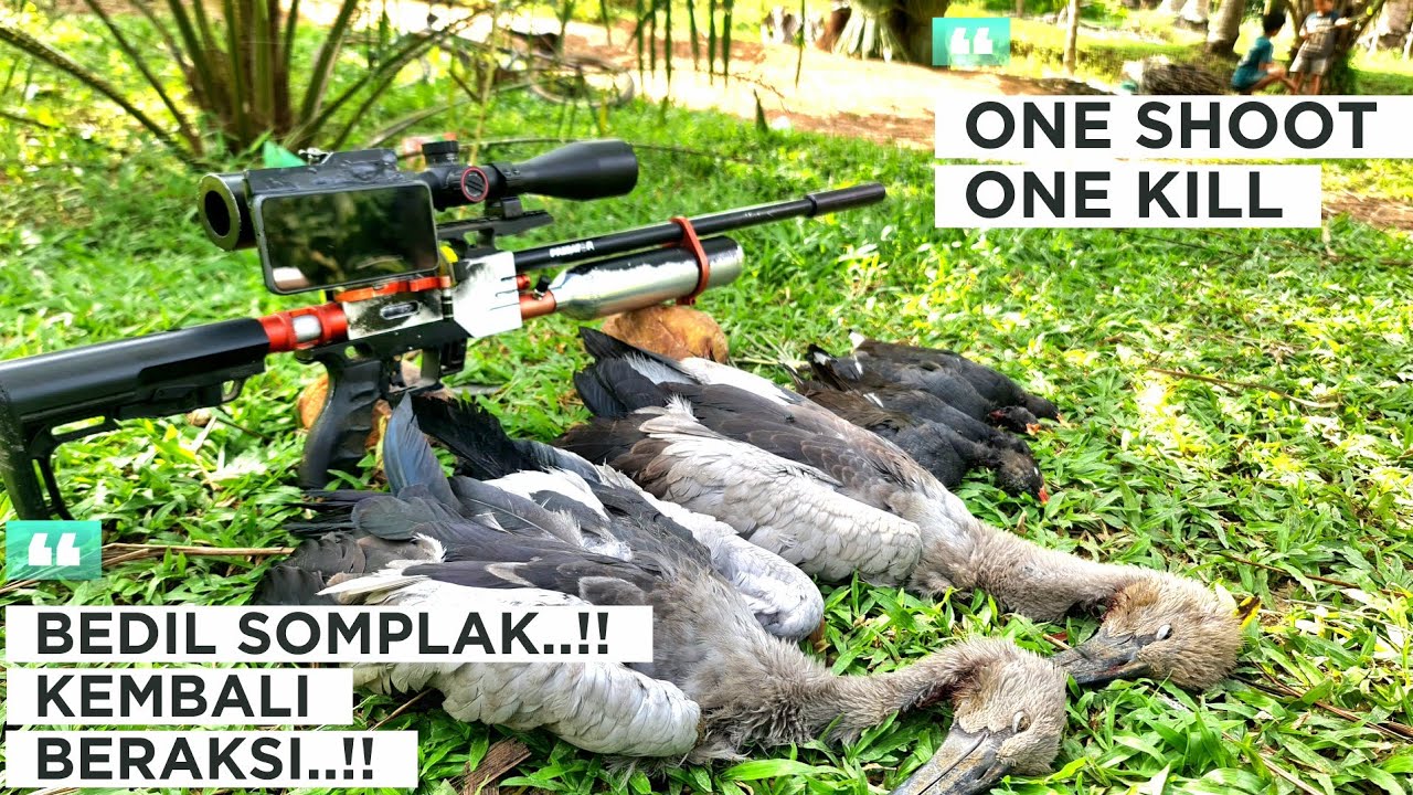 HUNTING‼️HARI POIN TERBANYAK