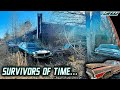 American Time Capsule: Abandoned Dealership Collier Motors AMC Has 200+ Classic Cars! (FULL TOUR)