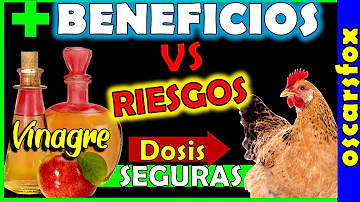 ¿El vinagre de sidra de manzana desparasita a los pollos?