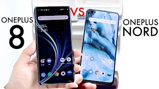 OnePlus Nord Vs OnePlus 8! (Comparison) (Review)
