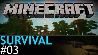 Minecraft Survival with Axianerve [Ep.03]