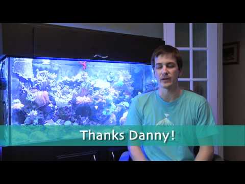 Mr. Saltwater Tank TV Friday Am Quick Tip #59: I'm Just Passing Through