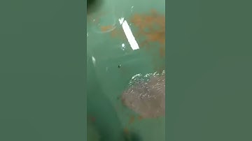 basement flood - 20 min after shopvac