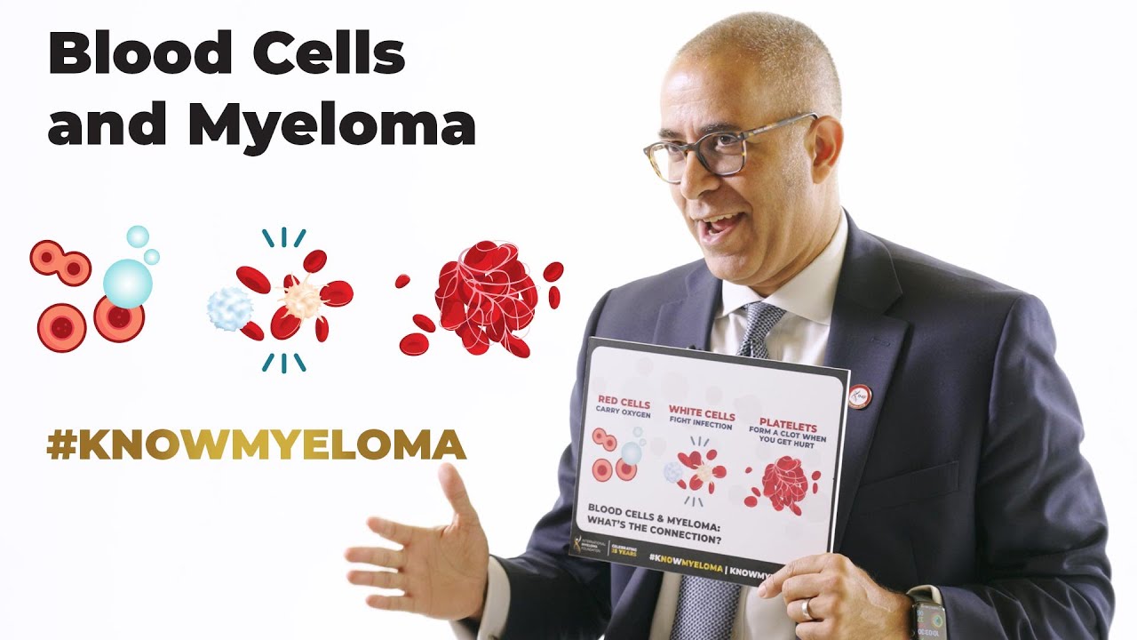 Blood Cells and Multiple Myeloma: What You Need to Know | Understanding ...