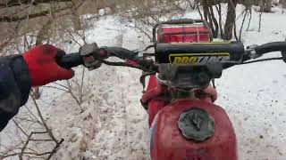 Stuck at the Knarly tree