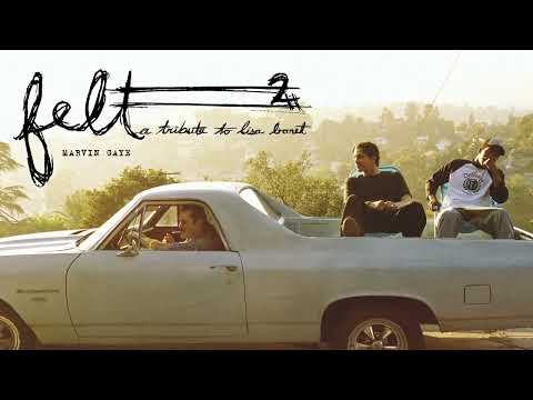 Felt - Marvin Gaye (Official Audio)