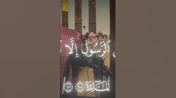الشيخ محمد اللحيدان سورة المائدة #لايك #المصحف