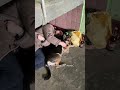 Когда заснул на чистом диване в уличной одежде