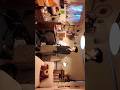 ここは私の秘密基地 #お部屋紹介 #ルームツアー #roomtour