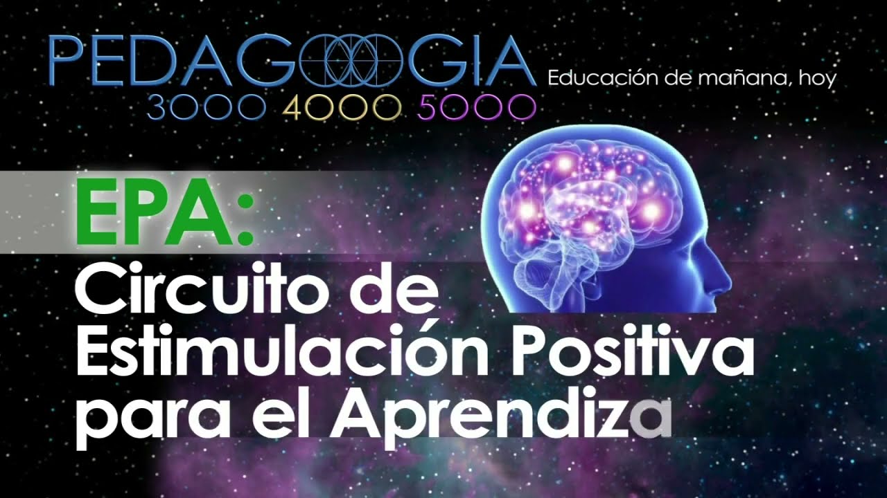 6. ✨EPA: Circuito de Estimulación Positiva para el Aprendizaje. Lo que todo profe debería saber...✨