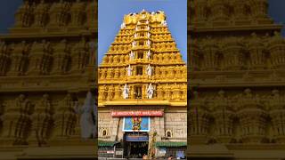 Sri Chamundeshwari devi temple 🙏#voyagewithmadhuri#chamundihill#shorts#subscribe#temple#tour#youtube