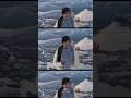 Pada taukan lagu cinta ini? 💙 #indila #lovestory #shorts