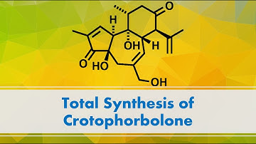 Total Synthesis of Crotophorbolone