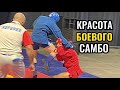 Красота боевого САМБО🔥