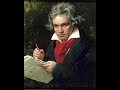 Ludwig van Beethoven - Wellington&#39;s Vicotory or the Battle of Vittoria Op  91