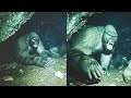 'I Found a Bigfoot Tribe In a Cave' Hiker's Terrifying Sasquatch Encounter - Sasquatch Story