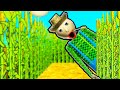 Baldi's Basics Plus but I'm Lost in a Corn Maze?!