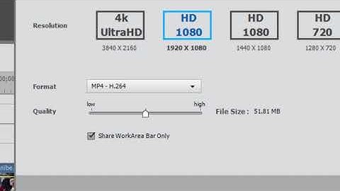 Output a movie segment in Premiere Elements