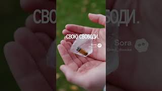 Как бросить курить почему это самое точное действие