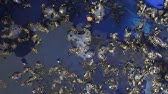 How to prevent wasp infestations - YouTube