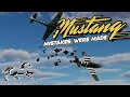 Target FIXATION: P51 Mustang vs. BF 109
