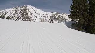 Snowbird Ski Resort: Spring Skiing in Peruvian Gulch