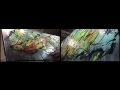 Apprendre  peindre un tableau abstrait  lacrylique  larkspur par john beckley