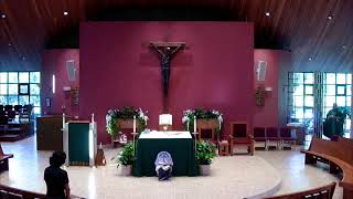 Monday of the 15th Week in Ordinary Time: 7/13/26