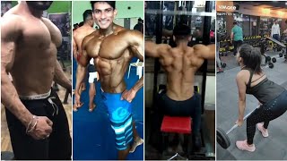 Latest Bodybuilding Tiktok Vmate Motivational Videos Vmate Fitness Hub Vmate