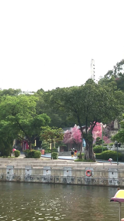 YINXIAN RESORTS Shenzhen China one day tour ❤️#highlights #shortvideo #travel #beautiful #nature ❤️